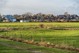 Scenery around Maasholm, a municipality in Schleswig-Holstein, Northern Germany