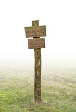 Wooden post near Olpenitz in Schleswig-Holstein, Germany, gradient isolated in white back