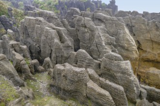 Scenery around the Pancake Rocks at Paparoa National Park at the South Island of New Zealand