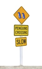 Penguins Crossing sign isolated in white back