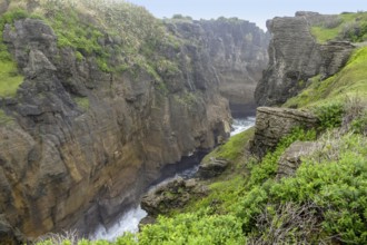 Scenery around the Pancake Rocks at Paparoa National Park at the South Island of New Zealand
