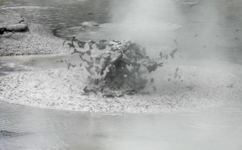 Detail at a geothermal area named Waiotapu in New Zealand