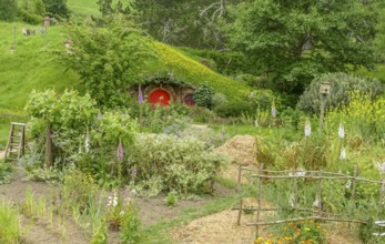 Idyllic scenery at The Shire represented by a region near Matama at the North Island of New Zealand
