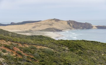 Te Werahi Beach in New Zealand