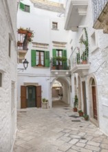 Scenery around Locorotondo in Apulia, an area in Southern Italy