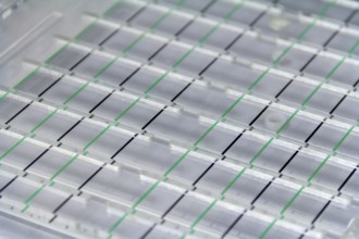 Full frame closeup shot of a medical sample rack