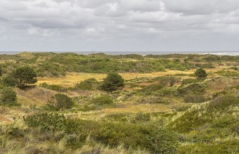 Impression of Spiekeroog, one of the East Frisian Islands at the North Sea coast of Germany