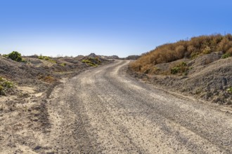 Off-road street at a bumpy scenery in sunny ambiance