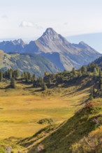 Alpine scenery near Warth in Austria at summer time