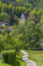 Sunny scenery including a small castle around Buchenbach in Hohenlohe, Germany