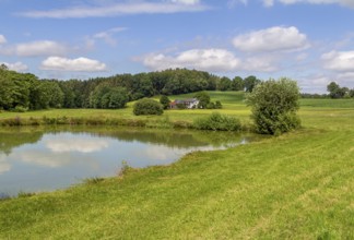 Small lake around Wiesenfelden in the Bavarian Forest in southern Germany at summer time