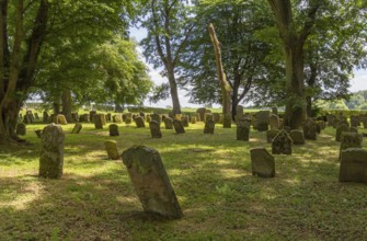 Historic jewish graveyard near Berlichingen in southern Germany