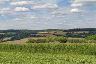 Idyllic rural scenery around the Jagst Valley in Hohenlohe, a district in Southern Germany at