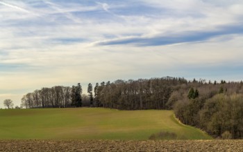 Agricultural scenery at the edge of a forest in Southern Germany at early spring time