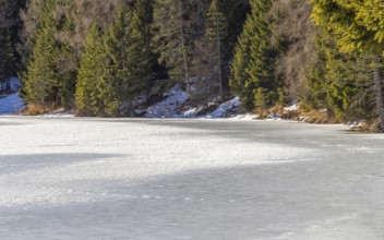 Natural scenery around a lake named Felixer Weiher in South Tyrol at winter time