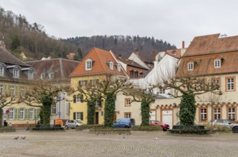 Impression of Heidelberg in Germany at winter time