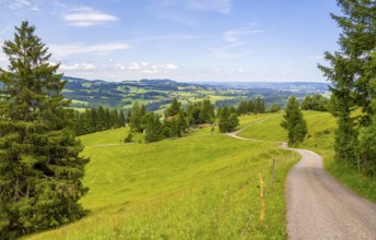 Idyllic scenery around the Immenstaedter Horn, a mountain in the Upper Allgaeu in Bavaria, Germany