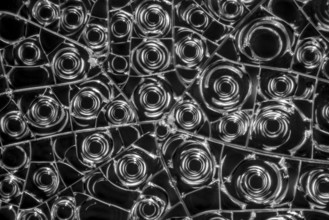 Microscopic detail of some dried egg white in dark back