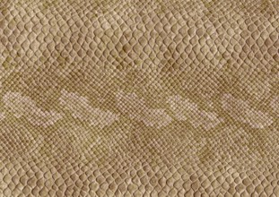 Full frame scaled abstract brown patterned reptile skin surface