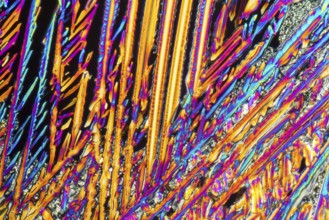 Colorful microscopic shot of Sodium nitrate microcrystals in polarized light