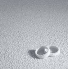 Studio photography of two frosted wedding rings in cold ambiance