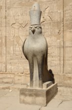 Sunny illuminated scenery including a statue of Horus at the ancient Temple of Edfu in Egypt