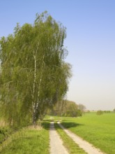Idyllic rural landscape at spring time in Hohenlohe Germany