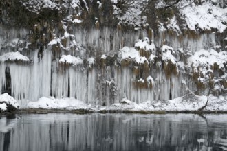 Lots of icicles near river Kocher in Southern Germany