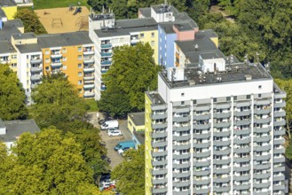 Aerial view, high-rise housing estate Fürstenberger Straße, coloured house facades, Hassels,