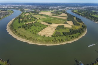 Aerial view, nature reserve Himmelgeister Rheinbogen, meadows and fields and green trees,