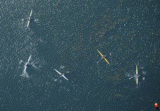 Aerial photo, canoeist on the Unterbacher See, shapes and colours, Unterbach, Düsseldorf, Ruhr