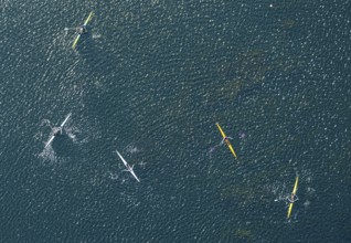 Aerial photo, canoeist on the Unterbacher See, shapes and colours, Unterbach, Düsseldorf, Ruhr