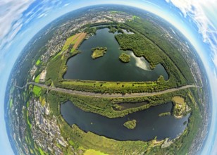 Aerial photo, Elbsee and Unterbacher See with forest area, motorway A46 at Hasseler Forst, earth