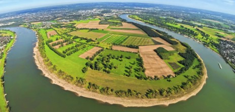 Aerial view, Himmelgeister Rheinbogen nature reserve, agricultural areas, river Rhine, earth globe,