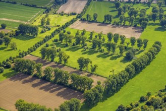 Aerial view, nature reserve Himmelgeister Rheinbogen, meadows and fields and green trees,