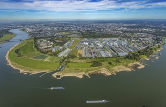 Aerial view, Rhine bend and district Volmerswerth, horticultural farms and agricultural use in the