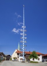 Parish Church of the Assumption of the Virgin Mary with maypole and town hall on the village
