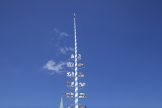 Maypole on the village square, Törwang, Samerberg, Chiemgau, Upper Bavaria, Bavaria, Germany
