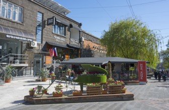 Lively street scene with a decorated piano, flowering plants and pretty buildings on a sunny day,