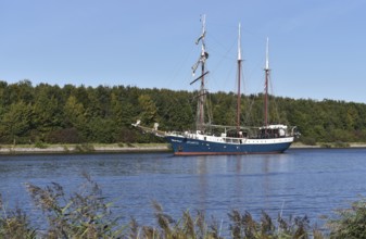 Tall ship, sailing ship ATLANTIS sailing through the Kiel Canal, Kiel Canal, Kiel Canal,