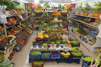 A well-stocked shop full of colourful fruit and vegetables displayed on shelves and tables, Gyumri,