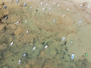 Fishing boats at low tide in the town of Cádiz. Aerial view. Drone shot. Cádiz province, Andalusia,