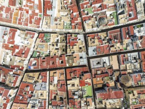 Streets and rooftops in the town of Cádiz. Aerial view. Drone shot. Cádiz province, Andalusia,