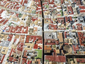 Streets and rooftops in the town of Cádiz. Aerial view. Drone shot. Cádiz province, Andalusia,