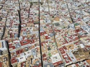 Streets and rooftops in the town of Cádiz. Aerial view. Drone shot. Cádiz province, Andalusia,