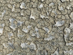 Dried mud in the marshland of the Bahía de Cádiz Nature Reserve. Aerial view. Drone shot. Cádiz