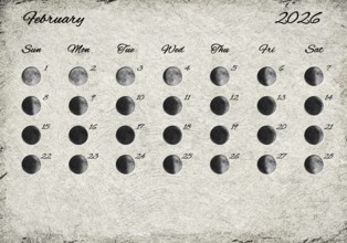 Moon Phases Calendar. February 2026 Old Paper