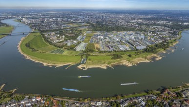 Aerial view, Rhine bend and district Volmerswerth, horticultural farms and agricultural use in the