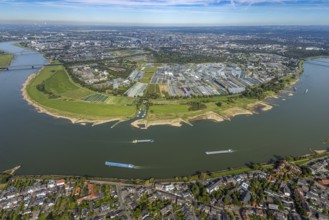 Aerial view, Rhine bend and district Volmerswerth, horticultural farms and agricultural use in the