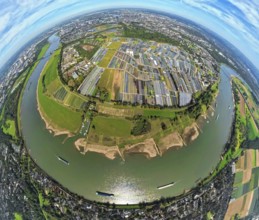 Aerial view, horticulture and agricultural use in the district of Volmerswerth, river Rhine, shapes